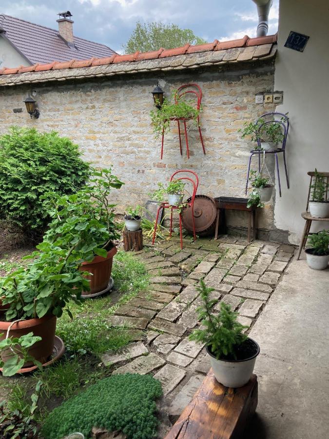 Nantucket Guesthouse Vrbas Dış mekan fotoğraf